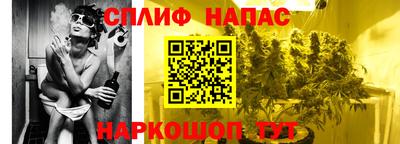 spice Кинель
