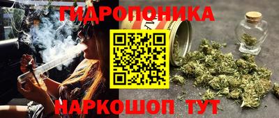 spice Кинель