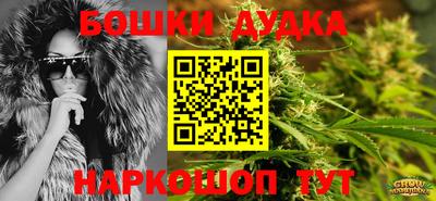 трава Кингисепп