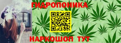 гидропоника Кимры