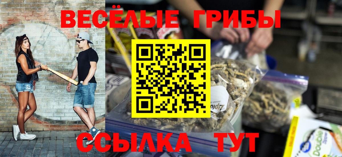 купить наркоту  Псилоцибиновые грибы Magic Shrooms  Галлюциногенные грибы мухоморы  Вход с VPN  Кропоткин 