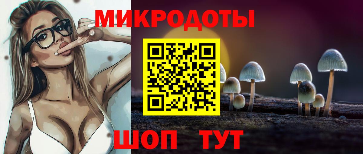 Галлюциногенные грибы мицелий Кропоткин